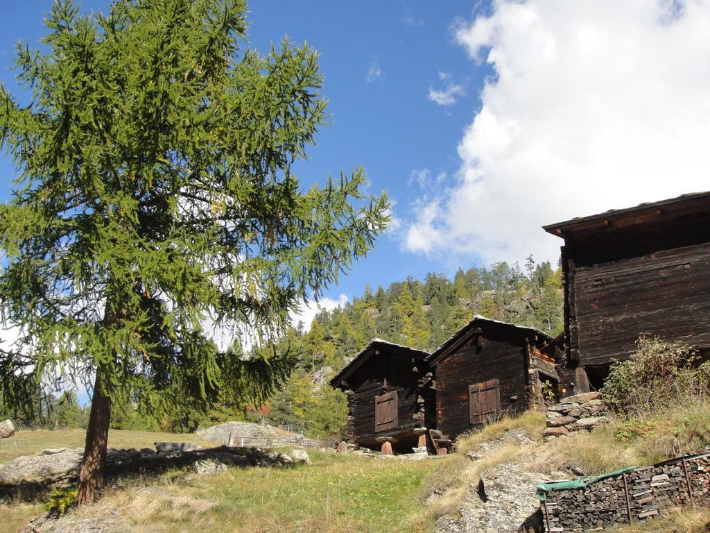 Haus Alpenstern Apartment Saas-Grund Luaran gambar