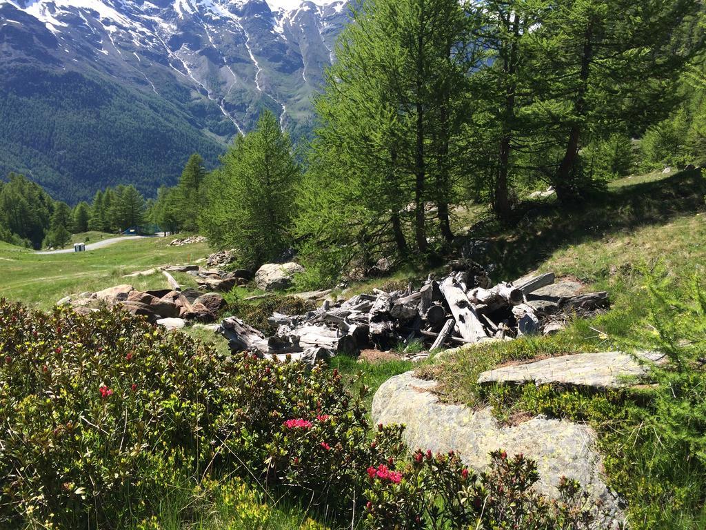 Haus Alpenstern Apartment Saas-Grund Luaran gambar